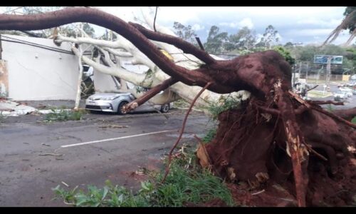 Tempestade causa alagamentos e tem quase 5 mil raios em 3h em Campo Grande