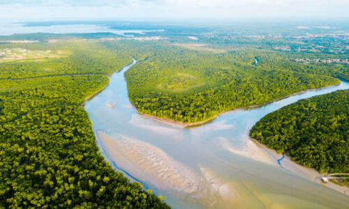 A poucos dias de conferência do Clima, governo lança programa verde