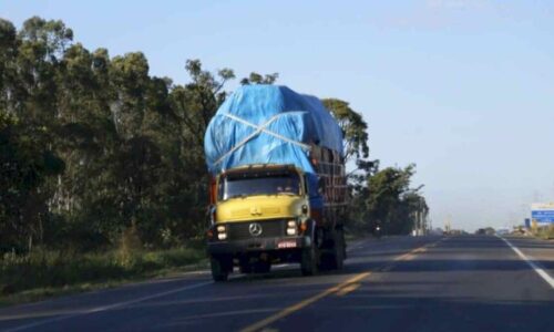 Sindicato nega greve, mas diz que apoiará se caminhoneiros decidirem parar em MS