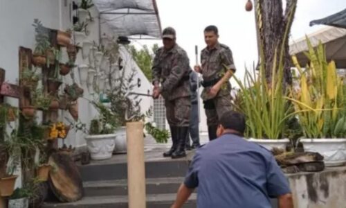 Moradora de Bonito encontra filhote de jiboia em casa