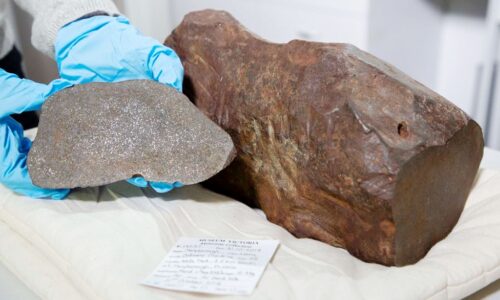 Garimpeiro procurava ouro mas acabou encontrando um meteorito ainda mais valioso