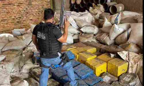 Polícia de MS encontra três toneladas de maconha em fecularia na fronteira