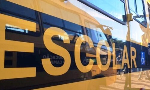 Decreto oficializa isenção de IPVA às empresas de transporte escolar em MS