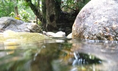 Iniciativas sustentáveis serão recompensadas em MS