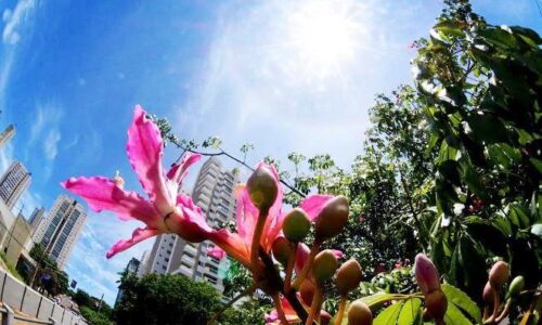 Verão começa nesta terça-feira e será marcado por chuva abaixo da média