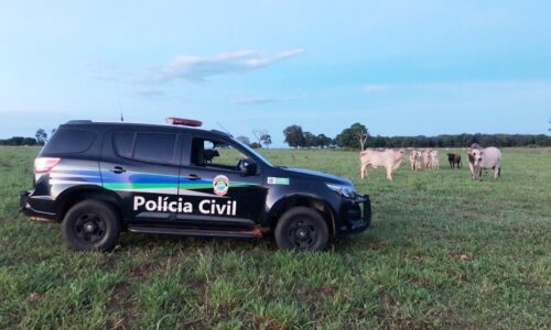 Polícia Civil prende quadrilha que roubava gado em Água Clara, Três Lagoas e região