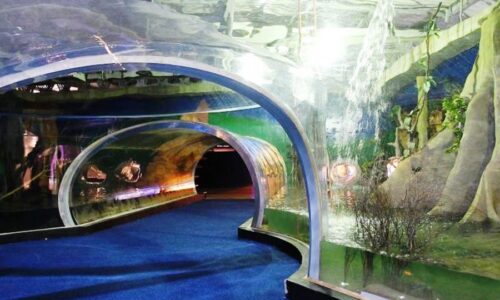 Aquário do Pantanal vira ‘Bioparque Pantanal’ e foi inaugurado nesta segunda-feira (28) na Capital