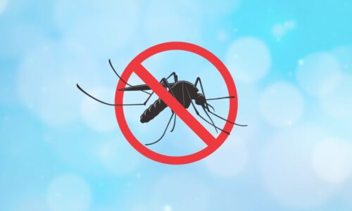 Operação Mosquito Zero fiscaliza 38 mil casas em Campo Grande