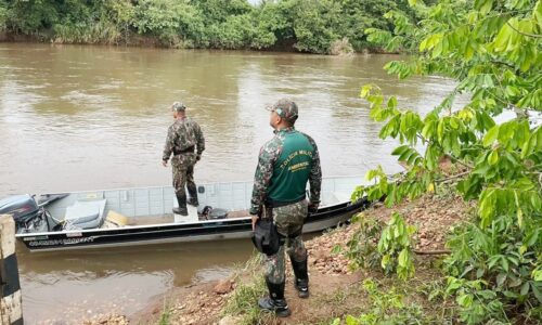 Piracema começa em 05 de novembro nos rios de Mato Grosso do Sul