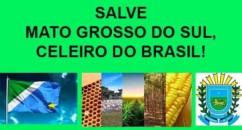 PARABÉNS MATO GROSSO DO SUL, CELEIRO DO BRASIL!