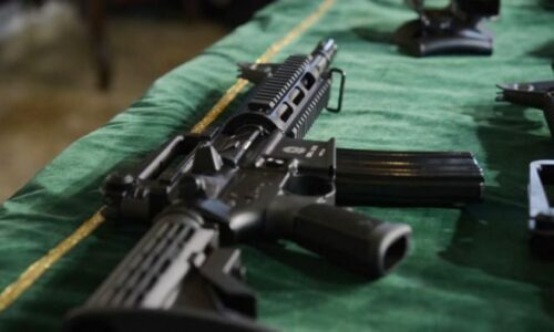 Governo deve recomprar armas com preço acima do teto durante recadastramento