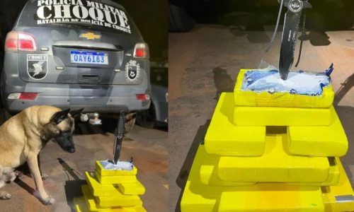 Passageira de ônibus é presa em Campo Grande com quase R$ 1 milhão em cocaína