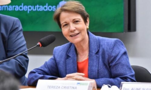 Manifestantes invadem fazenda da senadora Tereza