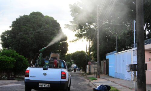 Mortes por dengue em cinco meses de 2023 superam todo o ano de 2022