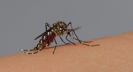 Em quase três meses, Brasil registra mais da metade de casos de dengue notificados em 2023