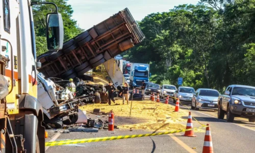 Ultrapassagem indevida de carreta com porcos provocou acidente com cinco mortes na BR-163